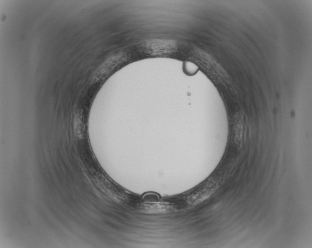 X0000081600316200702051336