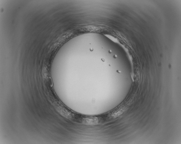 X0000081600317200702051336