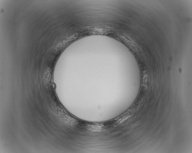 X0000081600318200702051336