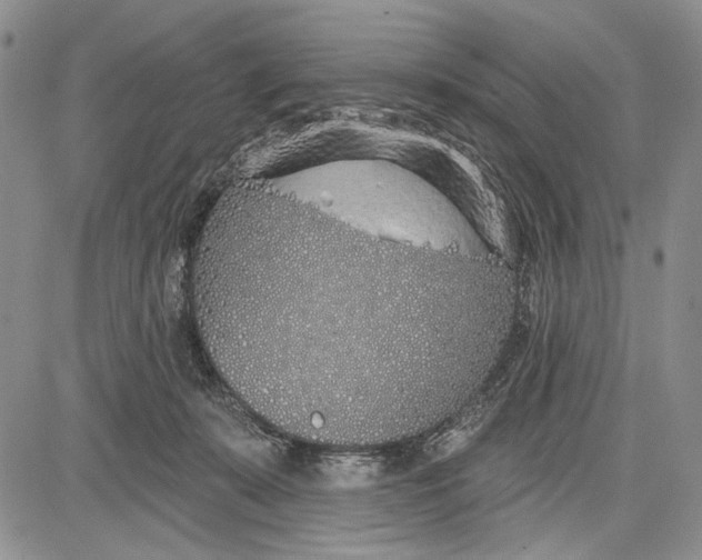 X0000081600319200702051336