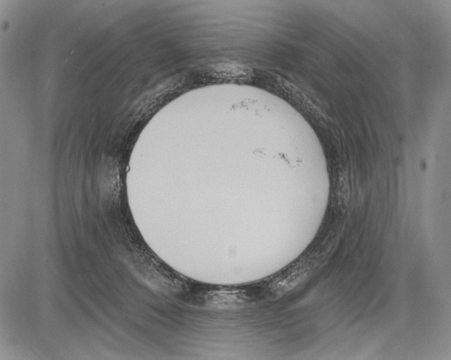 X0000081600320200702051336