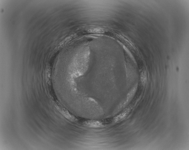 X0000081600322200702051336