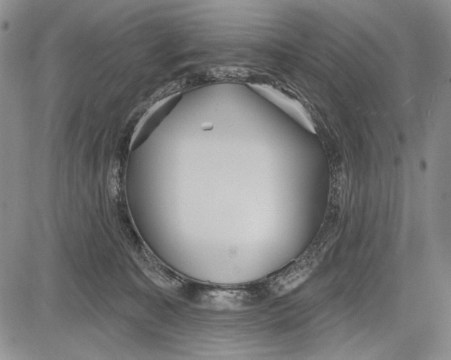 X0000081600323200702051336