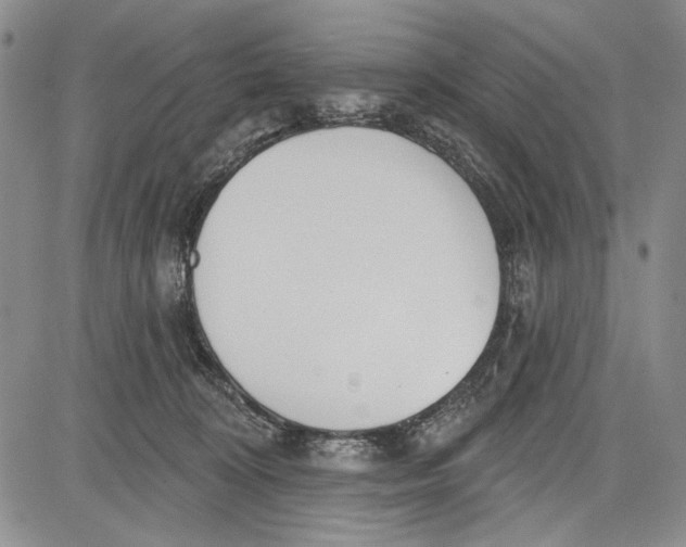 X0000081600324200702051335