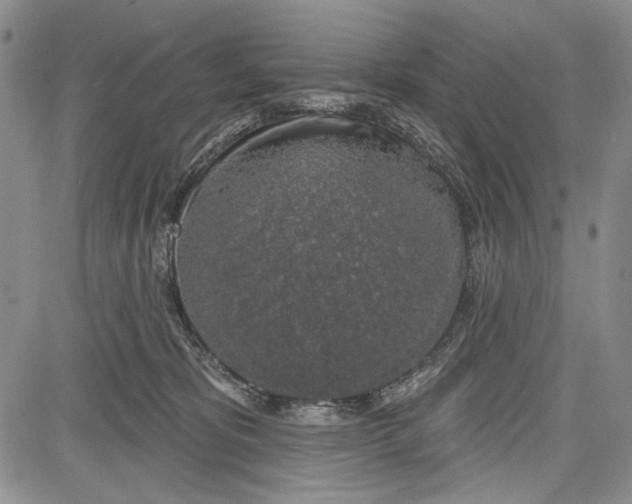 X0000081600325200702051335