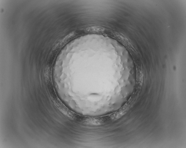 X0000081600326200702051335