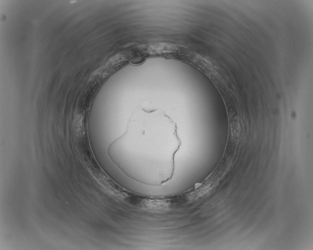 X0000081600327200702051335