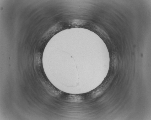 X0000081600328200702051335