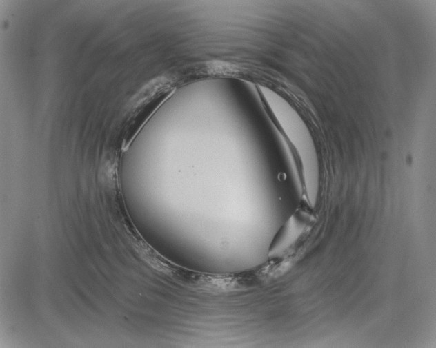 X0000081600329200702051335