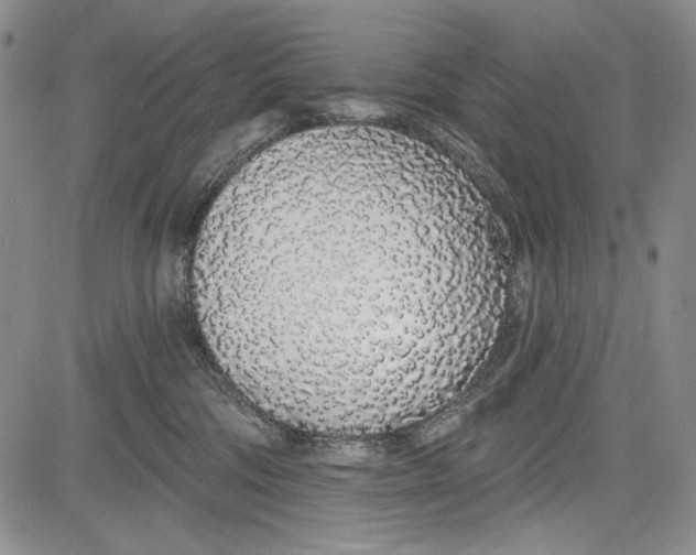 X0000081600330200702051335