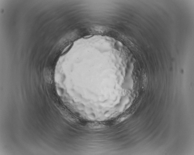 X0000081600331200702051335