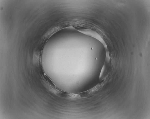 X0000081600333200702051335