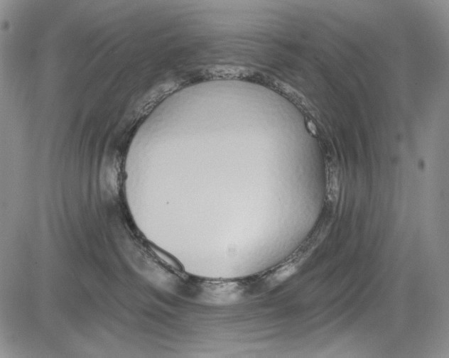 X0000081600334200702051335