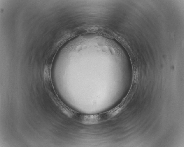 X0000081600335200702051335