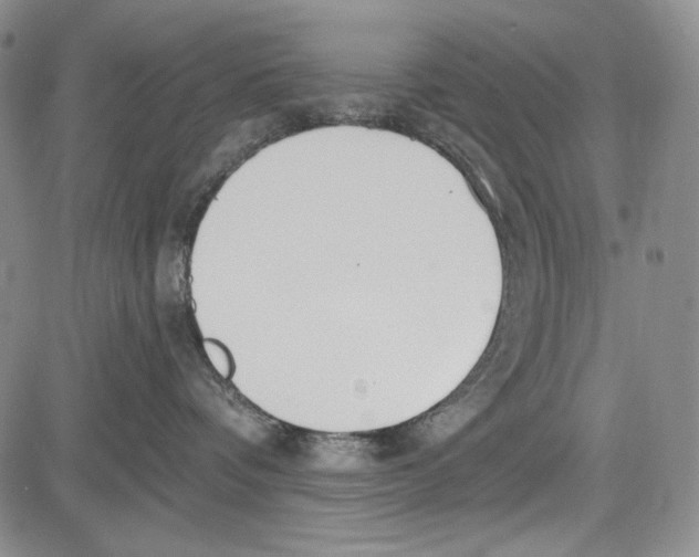 X0000081600336200702051335