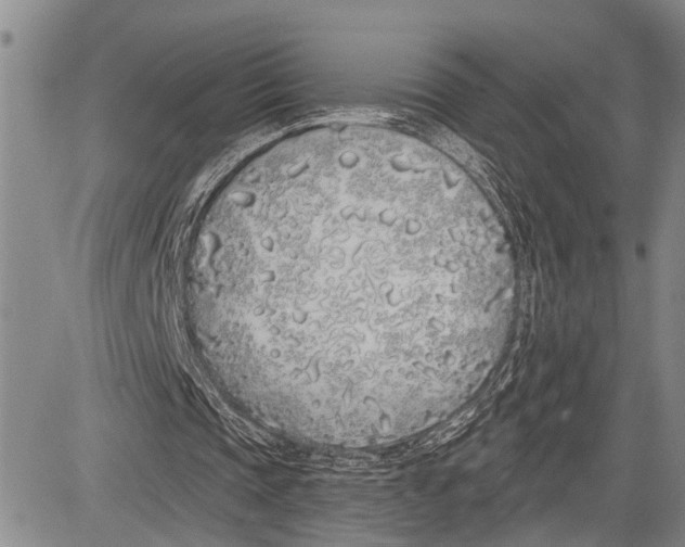 X0000081600337200702051335