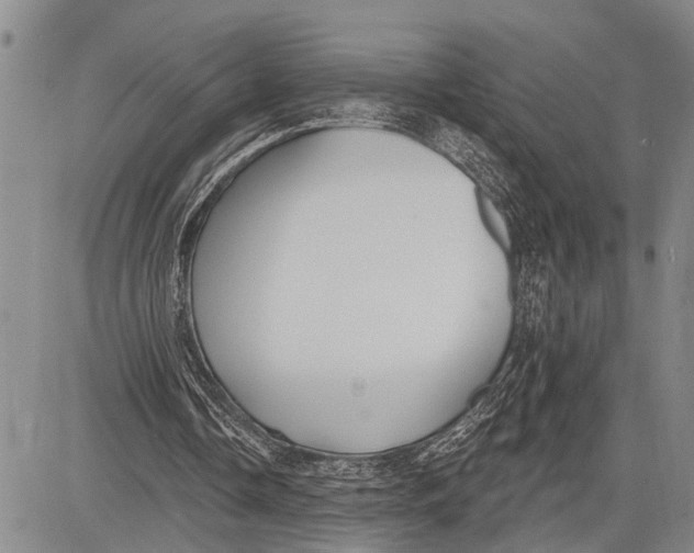 X0000081600338200702051335