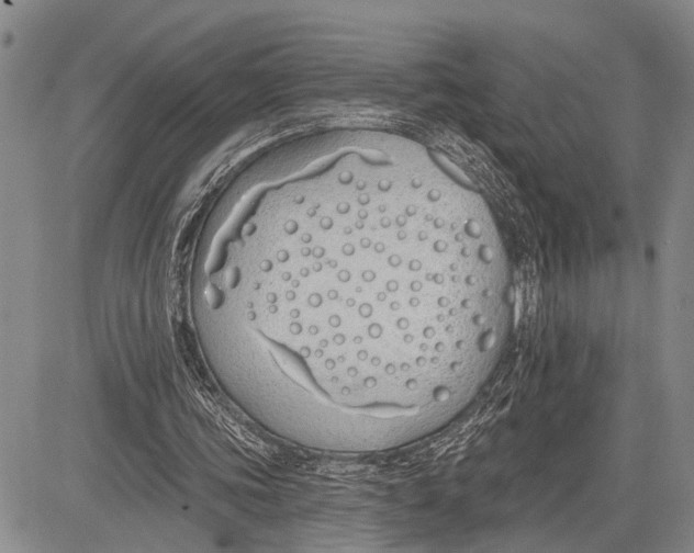 X0000081600339200702051335