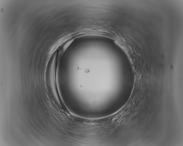 X0000081600340200702051335