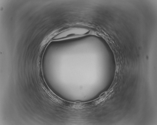 X0000081600341200702051335