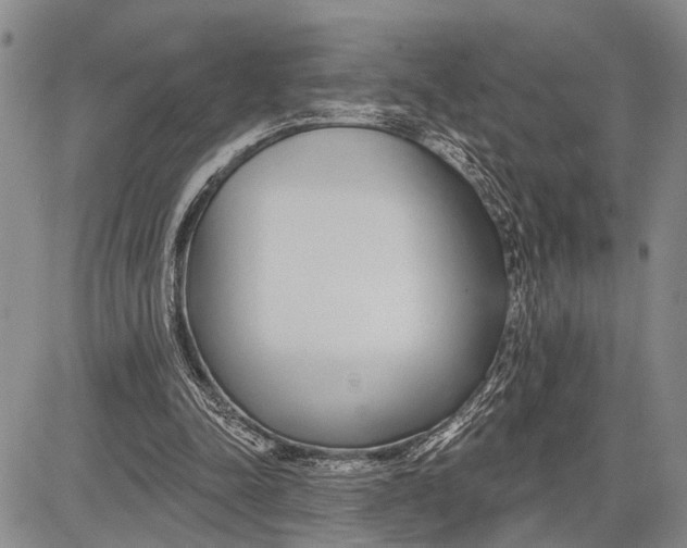 X0000081600342200702051335