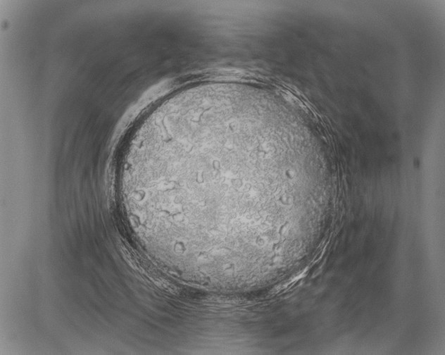 X0000081600343200702051335