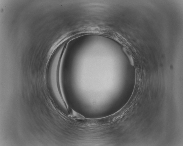 X0000081600344200702051335