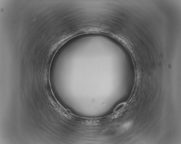 X0000081600345200702051335