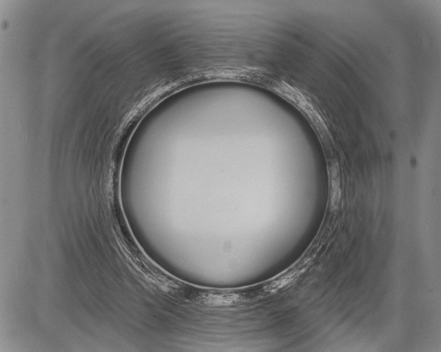 X0000081600346200702051335