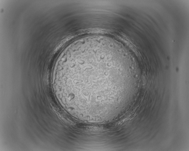 X0000081600347200702051335