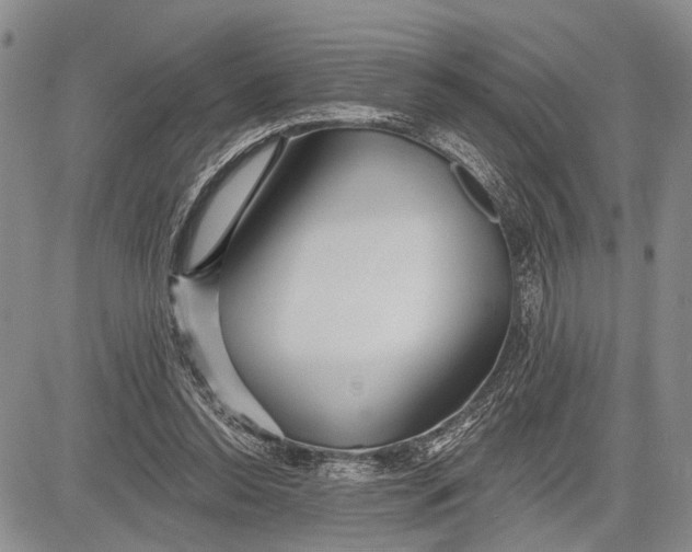 X0000081600350200702051335