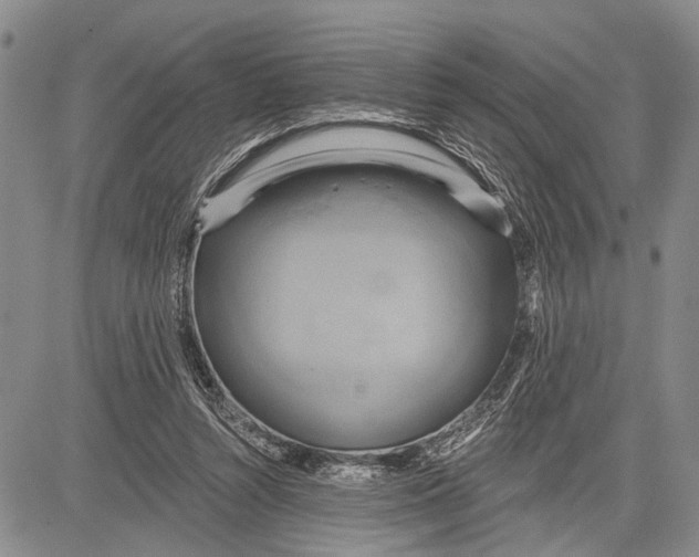 X0000081600352200702051335