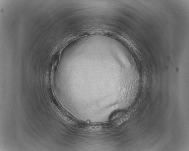 X0000081600353200702051335