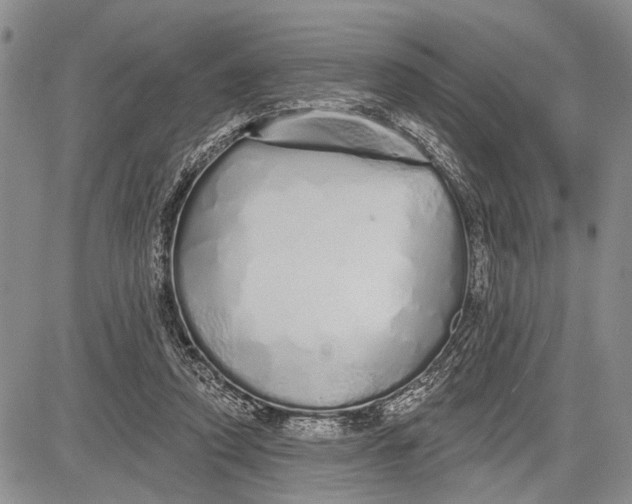 X0000081600354200702051335