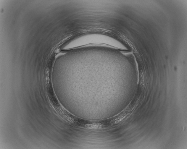 X0000081600356200702051335