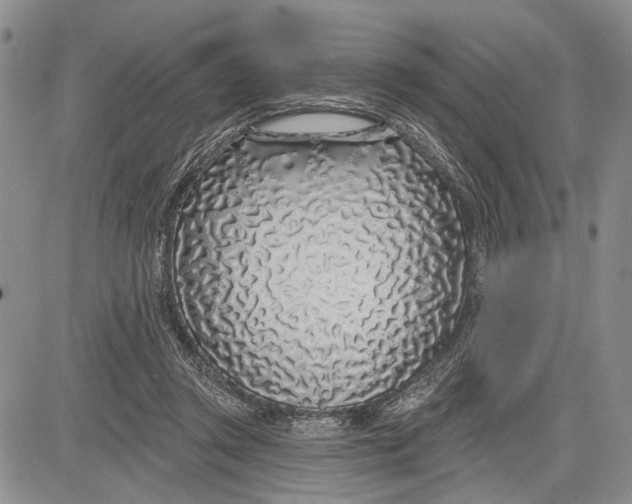 X0000081600357200702051335