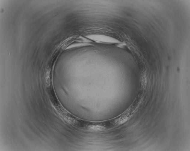 X0000081600360200702051335