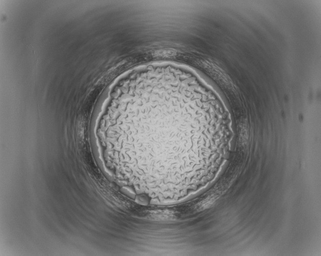 X0000081600363200702051335