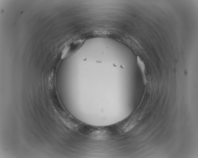 X0000081600364200702051335