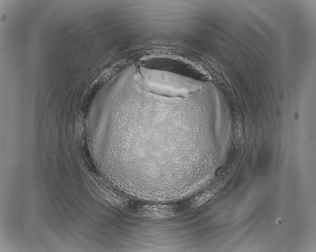 X0000081600367200702051335