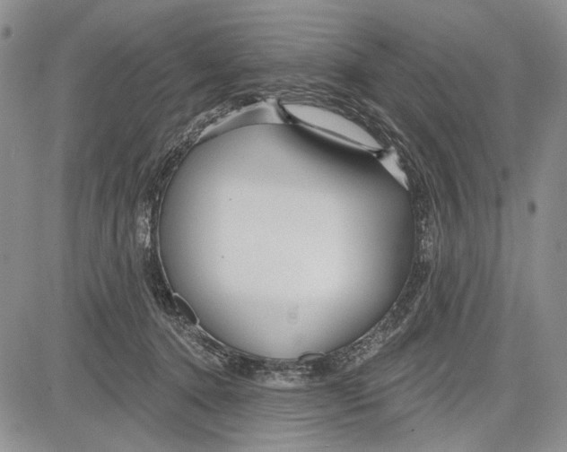 X0000081600368200702051335