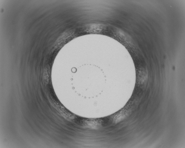 X0000081600370200702051335