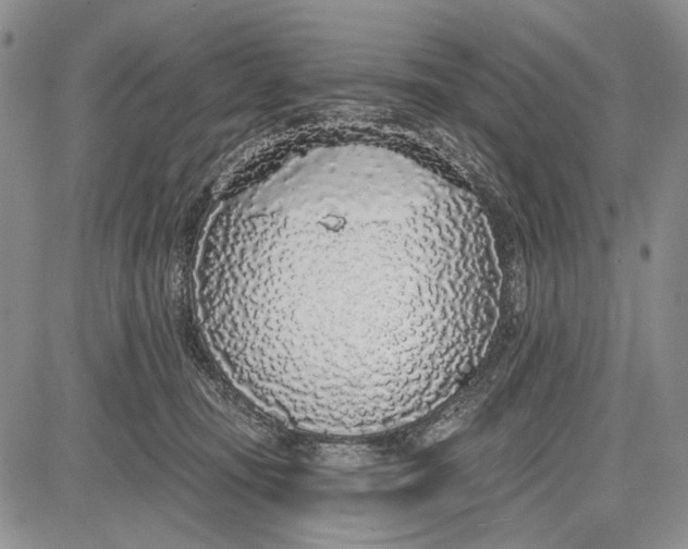 X0000081600371200702051335