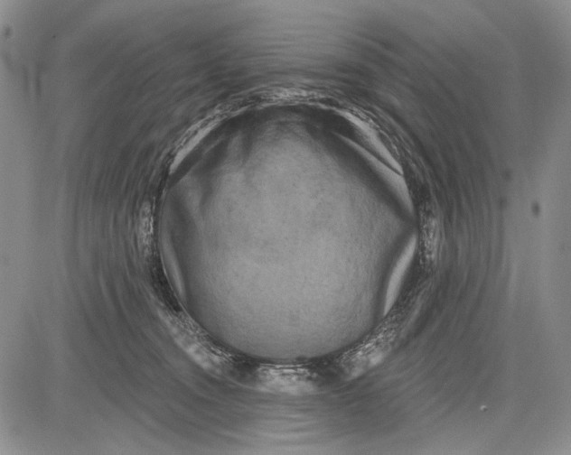 X0000081600372200702051335