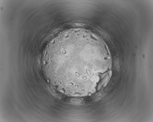 X0000081600373200702051335