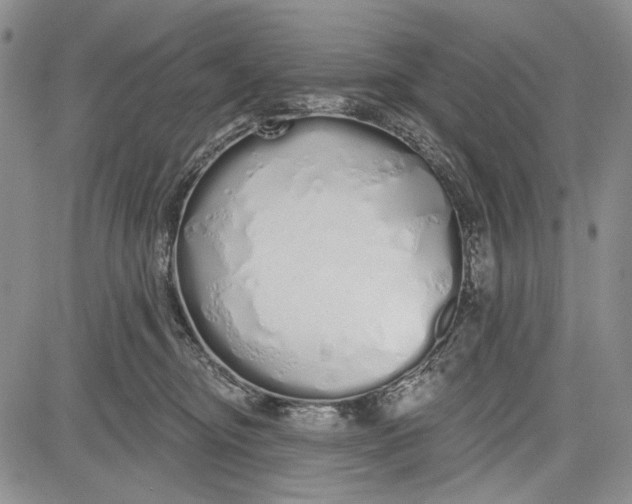 X0000081600374200702051335