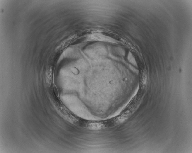 X0000081600376200702051335