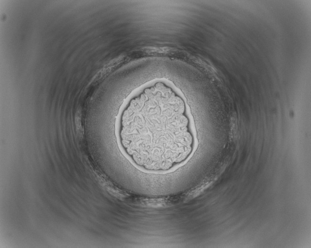 X0000081600377200702051335