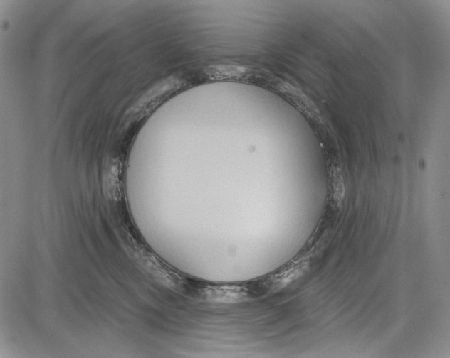 X0000081600378200702051335