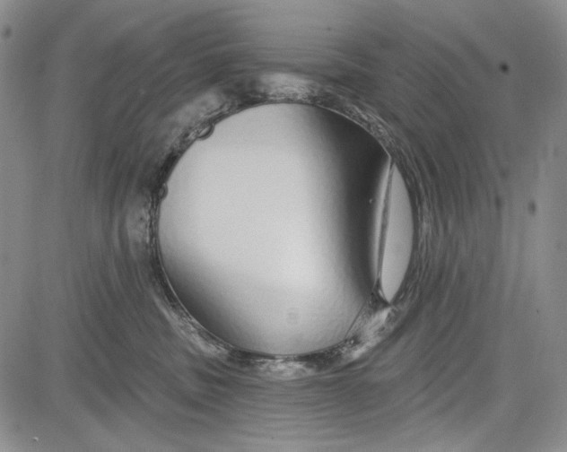 X0000081600379200702051335